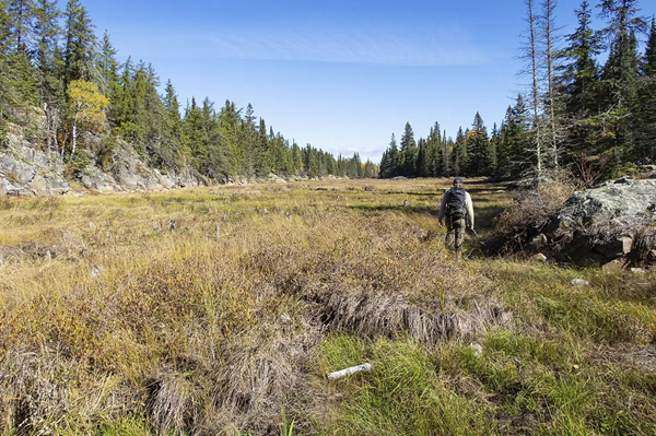 Hiking in Beaver Meadow